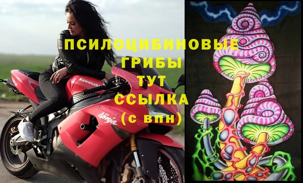 твердый Алзамай