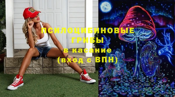 стаф Алексин