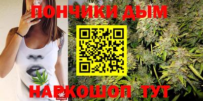 индика Ачхой-Мартан