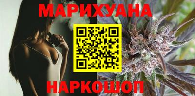 индика Ачхой-Мартан
