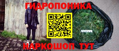стаф Аша
