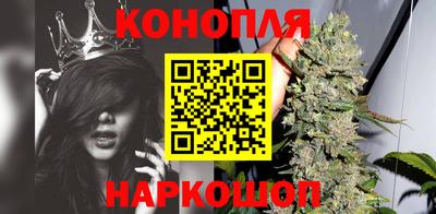 стаф Аша