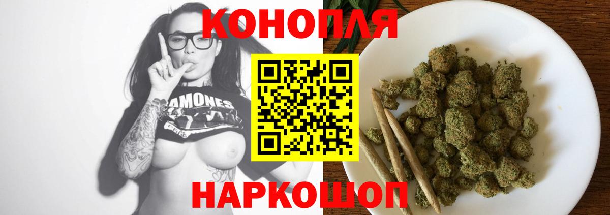 Псилоцибиновые грибы Астрахань